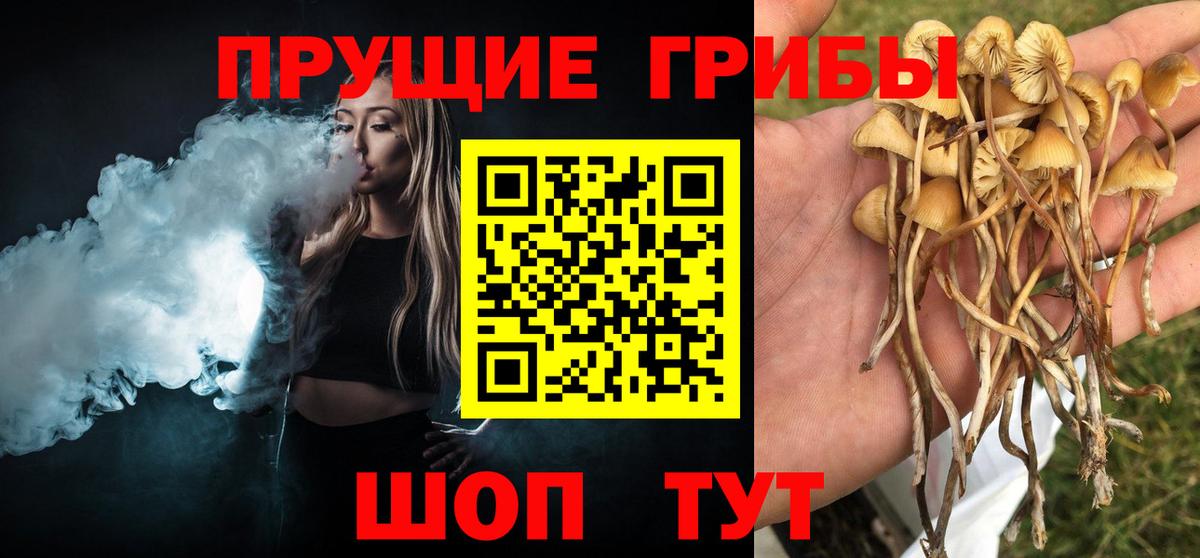 Псилоцибиновые грибы GOLDEN TEACHER Гуково